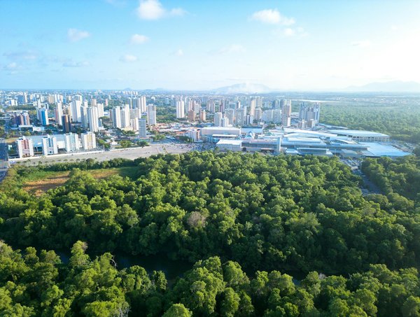 ¿Cómo puede el entrenamiento de intervalos de alta intensidad (HIIT) afectar la salud metabólica?