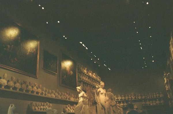 ¿Cómo aplicar la biomecánica para mejorar la técnica de remo en canotaje?