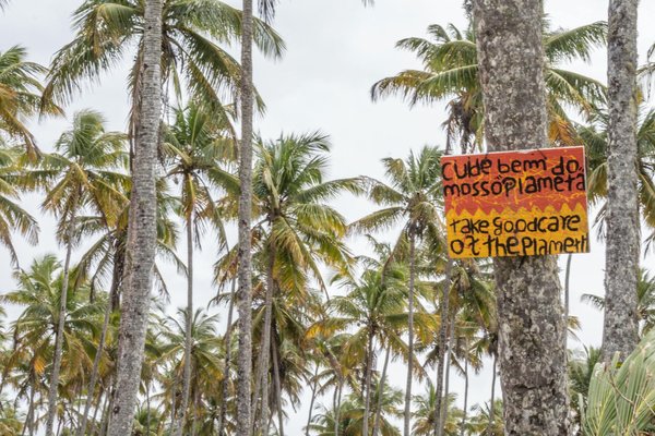 Activités amusantes pour votre golden retriever