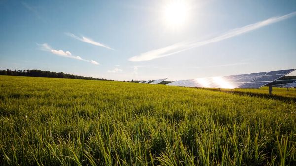 Transformez votre terrain en rentabilité avec une ferme solaire