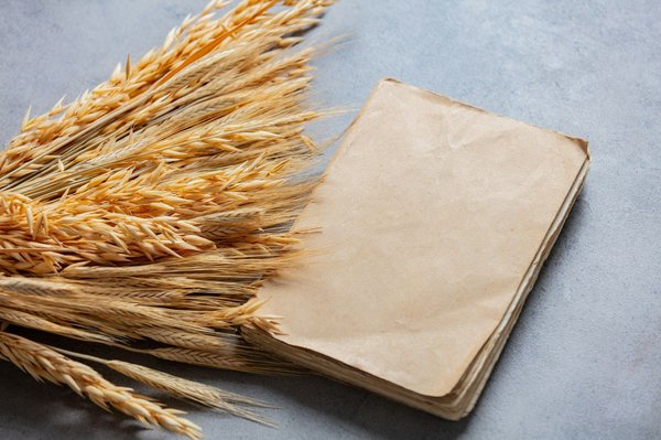 Livre d'or audio anniversaire : comprendre le processus d'envoi d'un message